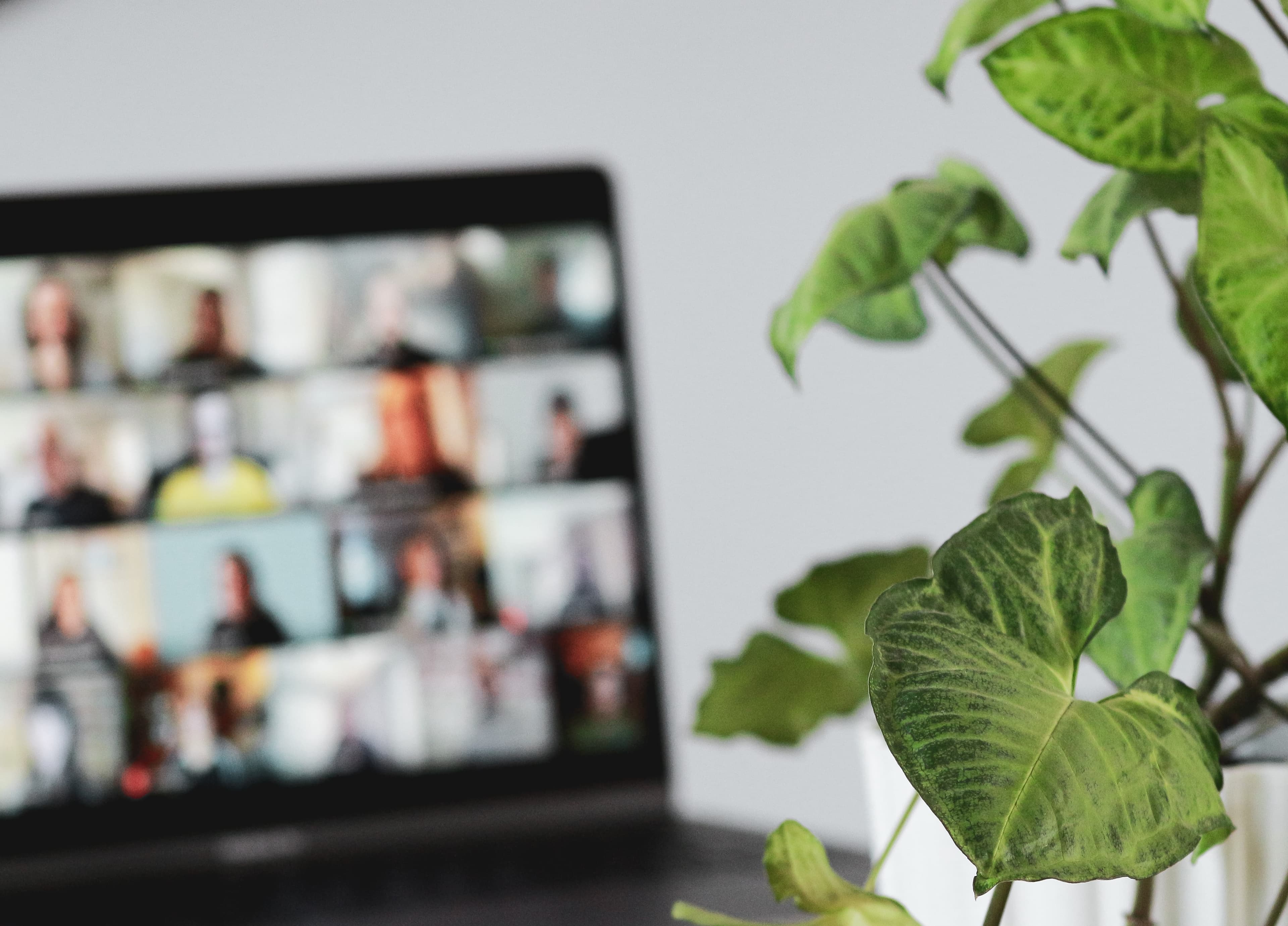 Survivors Webinar