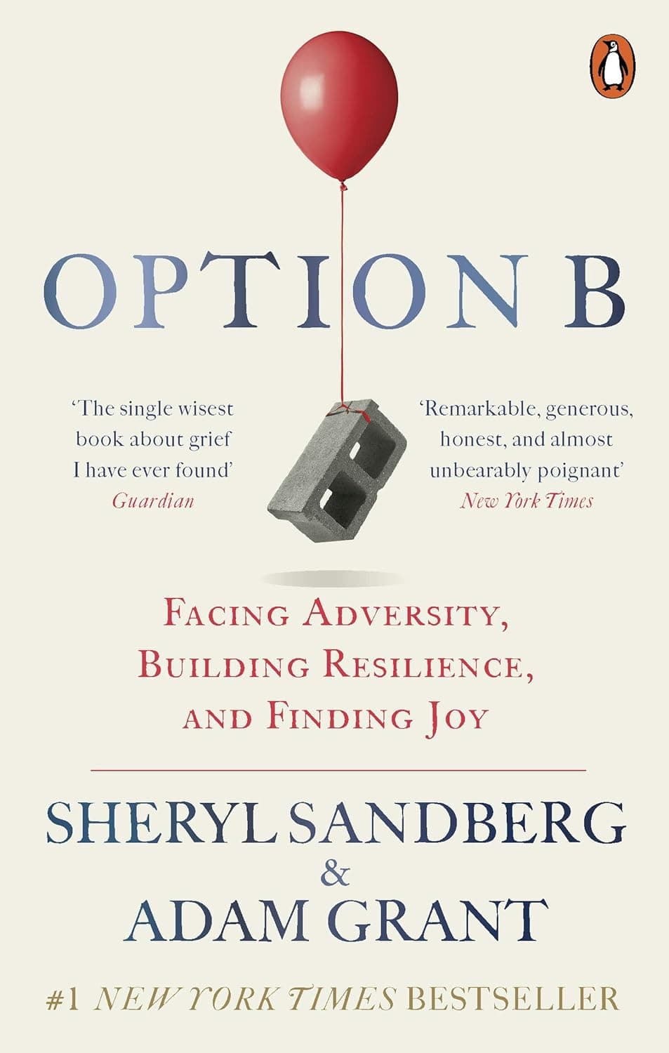 Option B: Facing Adversity, Building Resilience, and Finding Joy