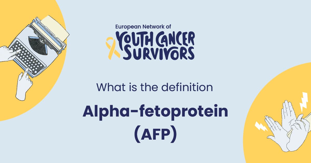 what is alpha-fetoprotein (afp)?