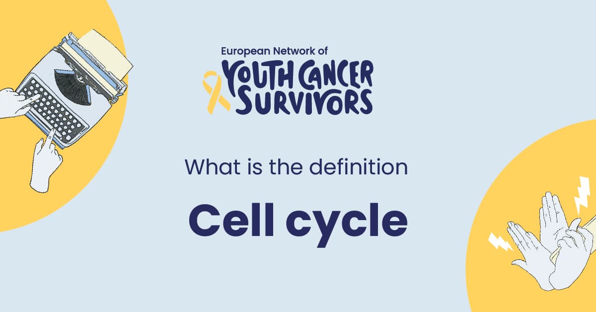 what is cell cycle?