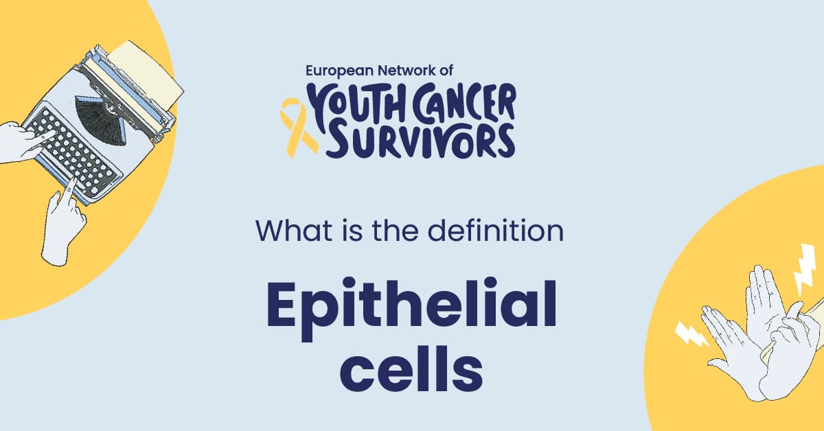 what is epithelial cells?