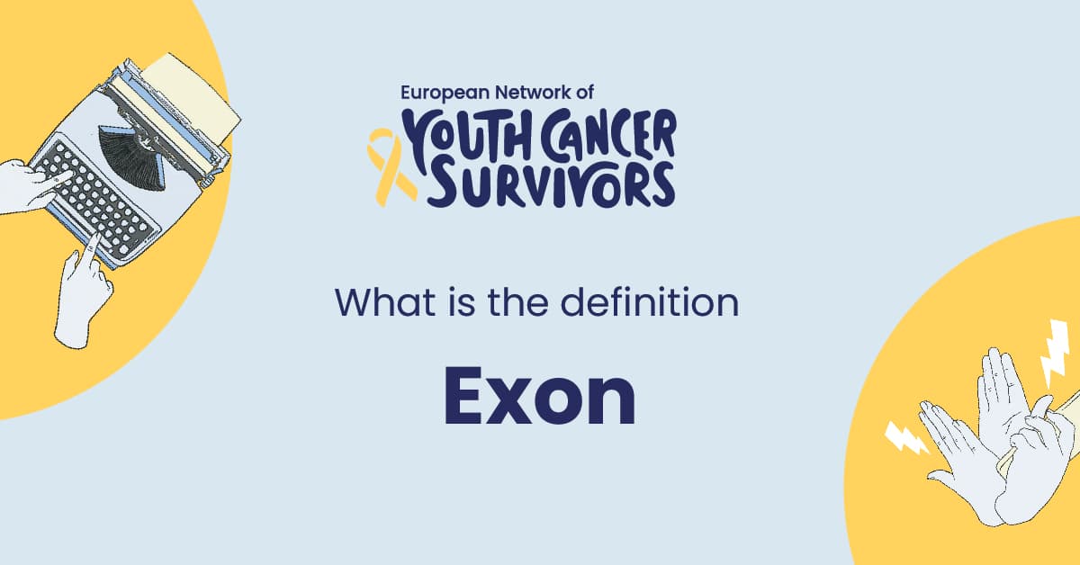 what is exon?