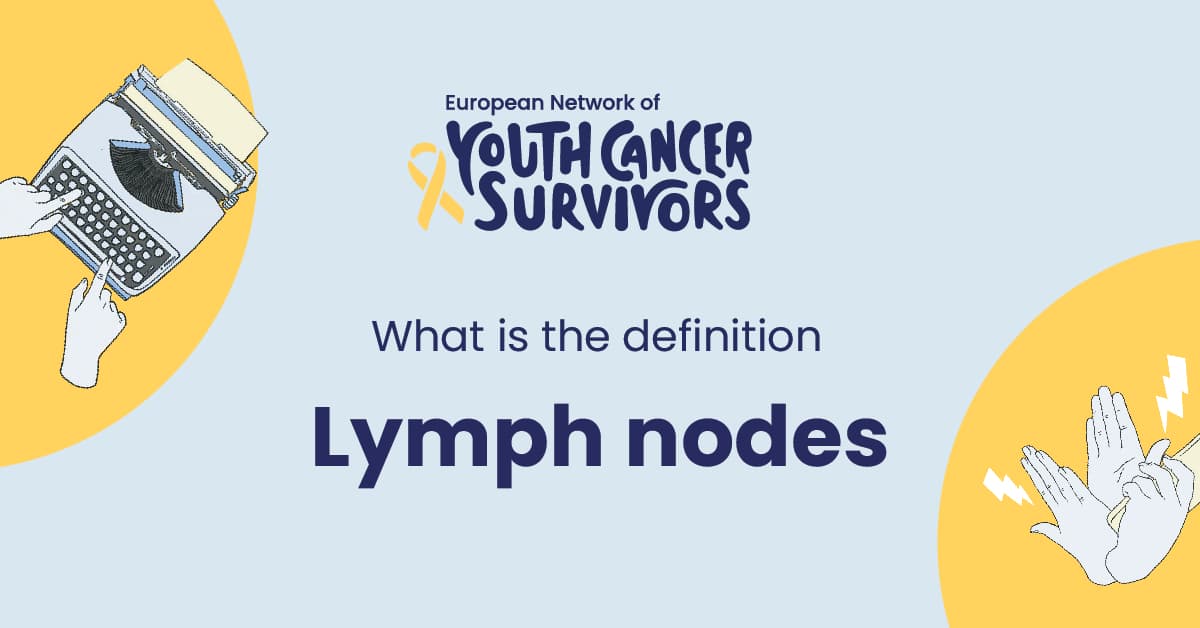 what is lymph nodes?