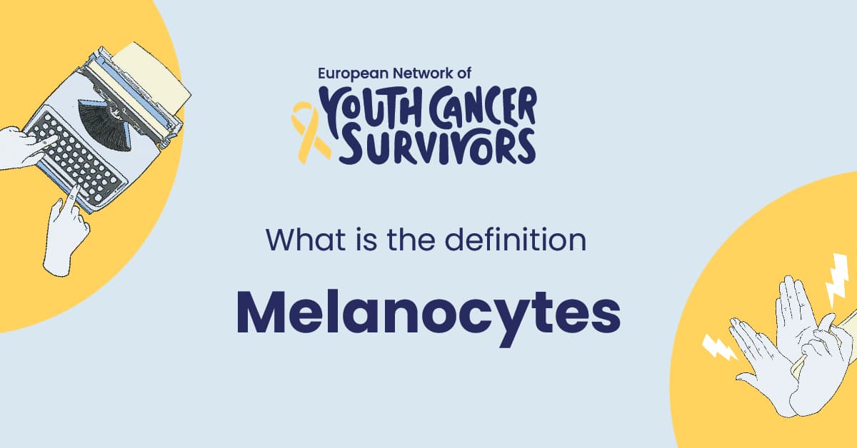 what is melanocytes?
