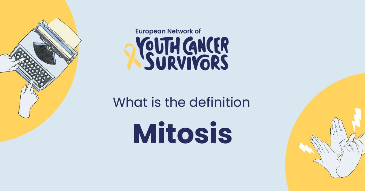 what is mitosis?