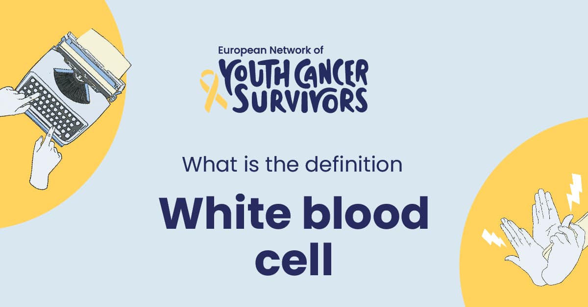 what is white blood cell?