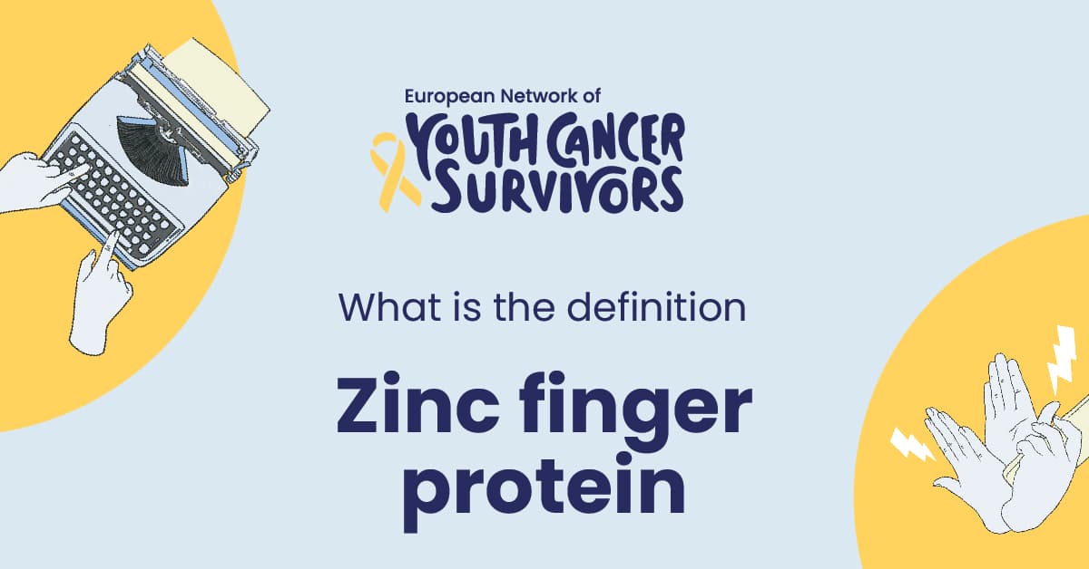 what is zinc finger protein?
