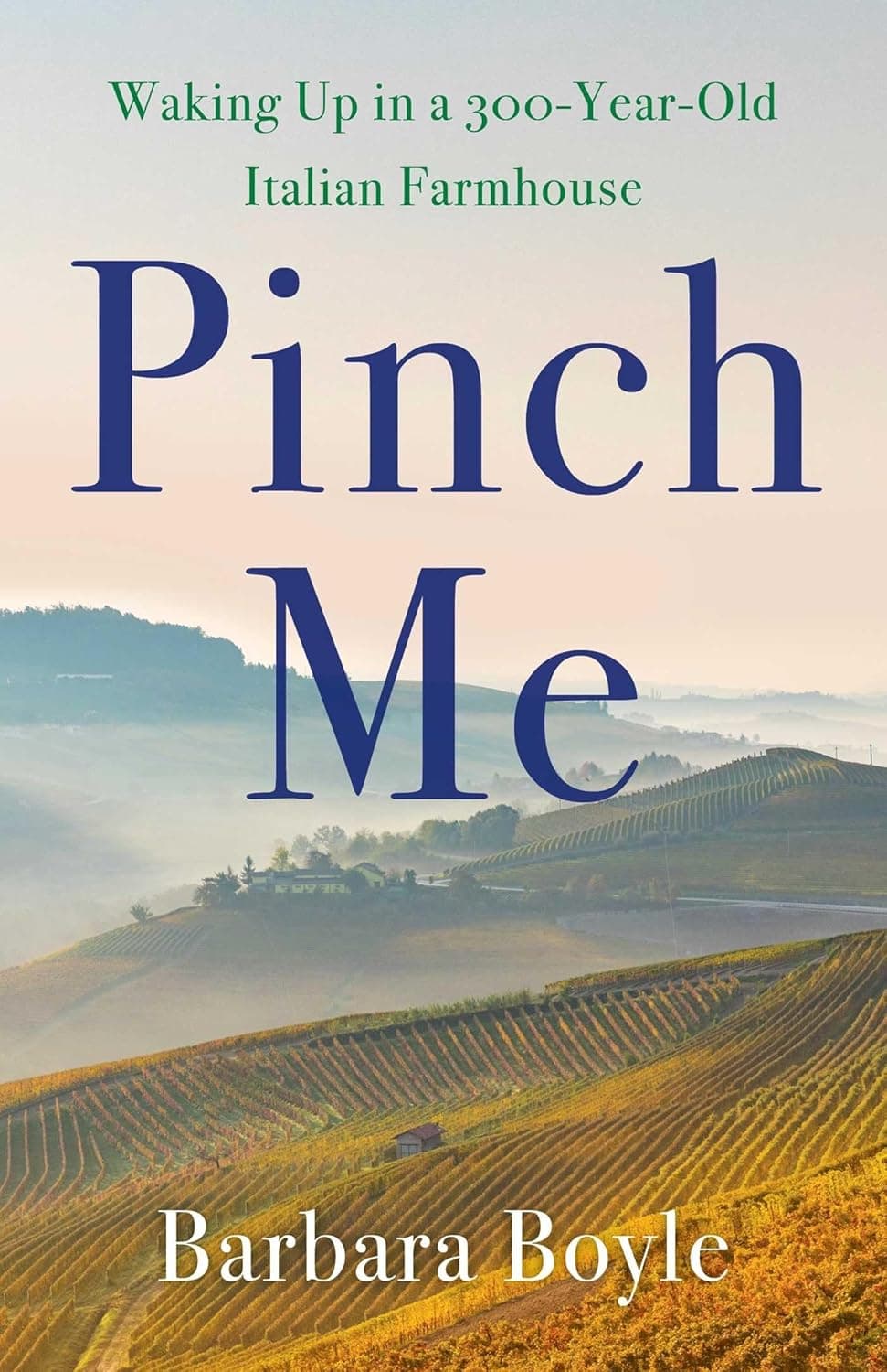"Pinch Me": Pabudimas 300 metų senumo Italijos sodyboje